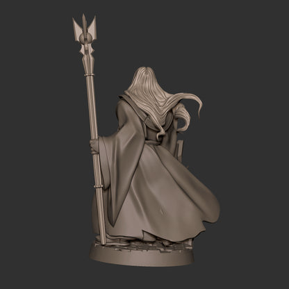 Dark Wizard