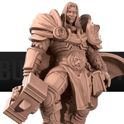 Human Prince Paladin