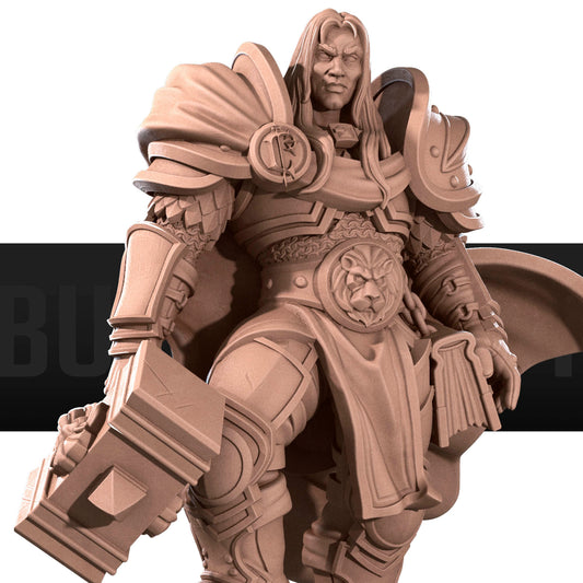 Human Prince Paladin