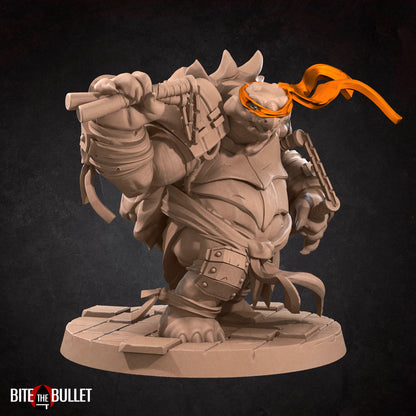 Ninja Tortles Pack