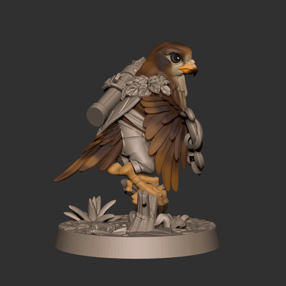 Hawkfolk Ranger