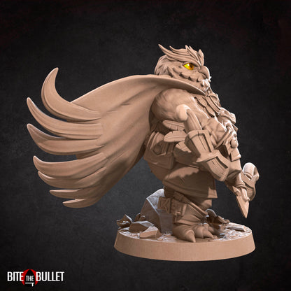 Owlfolk Ranger