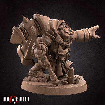 Tortle Cleric