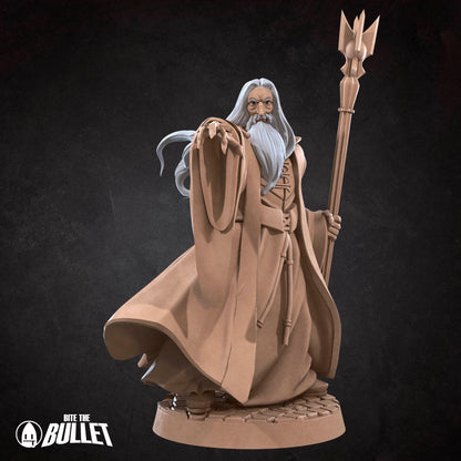 Dark Wizard