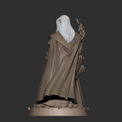 Half-Elf Magus