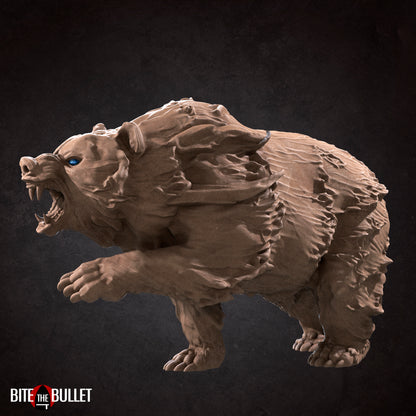 Water Elemental Bear