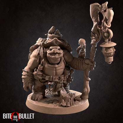 Tortle Druid