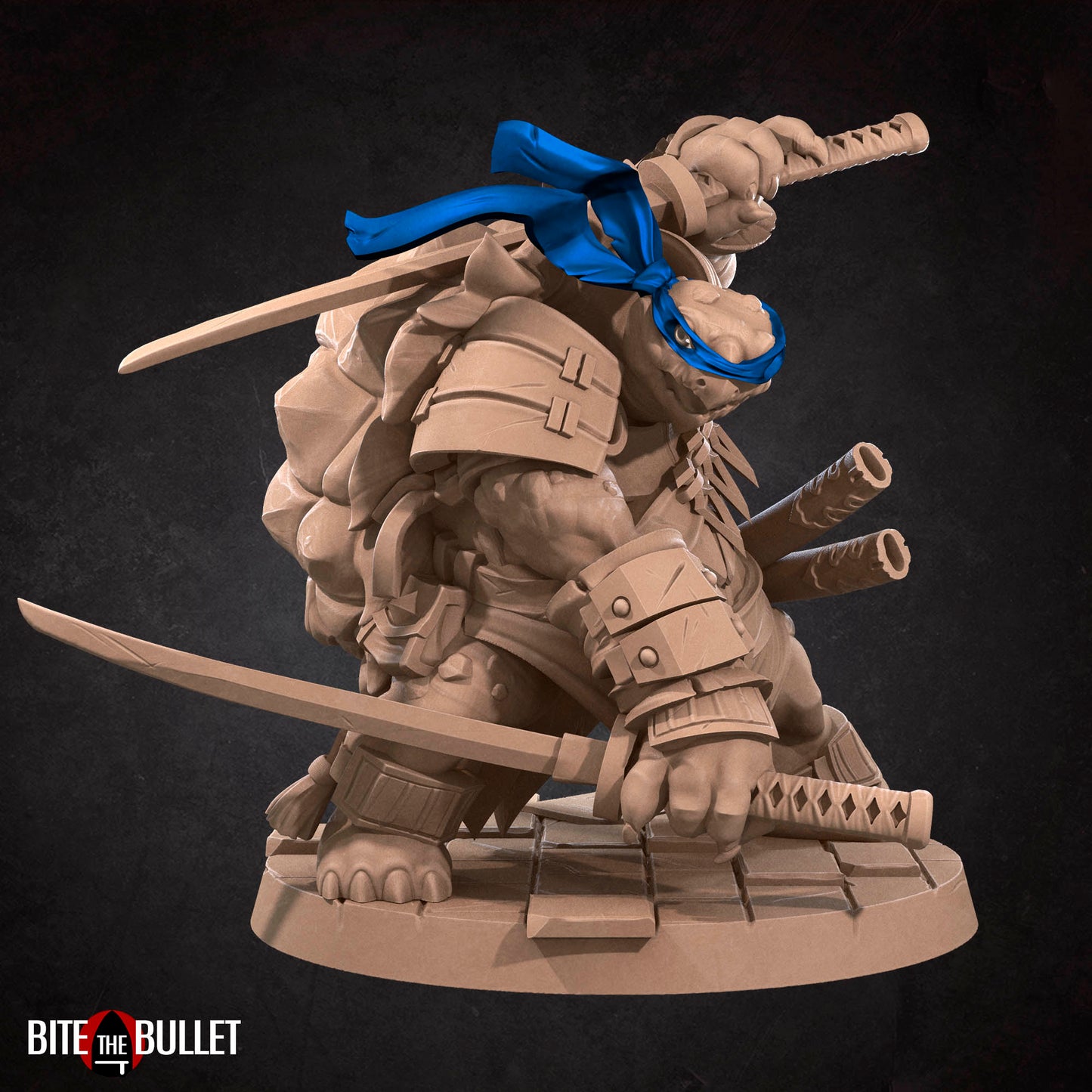 Ninja Tortles Pack