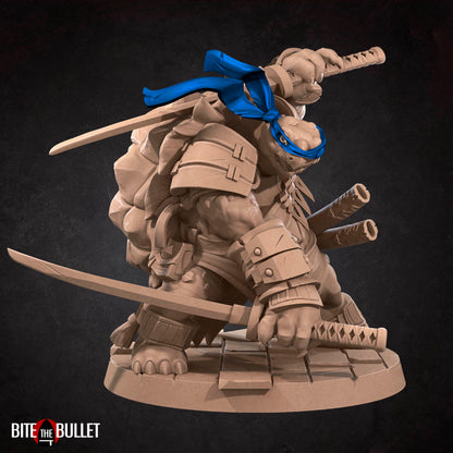 Ninja Tortles Pack