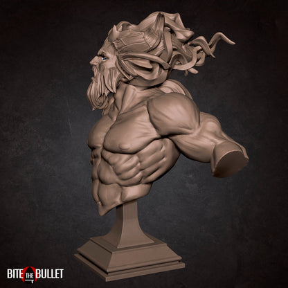 Genasi Bust