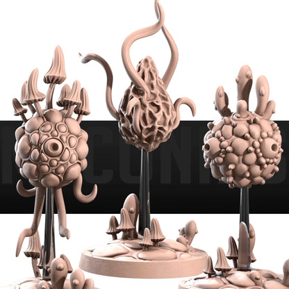 Gas Spores Pack