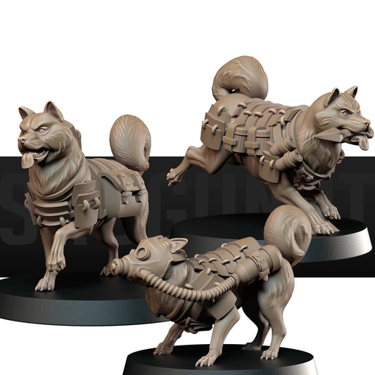 Combat Dogs - Holy Shogunate