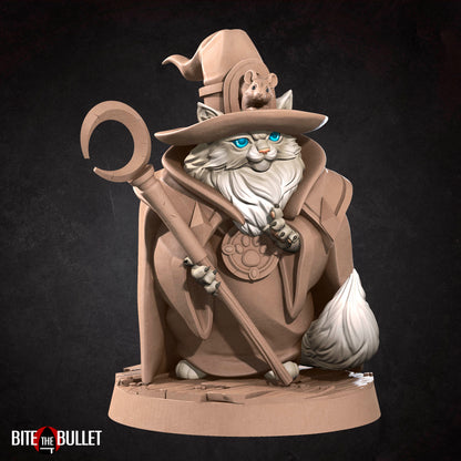 Catfolk Wizard
