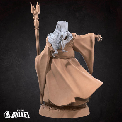 Dark Wizard