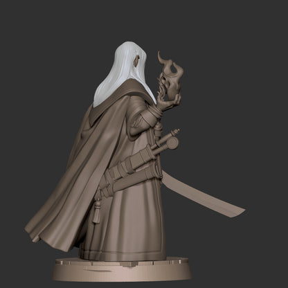 Half-Elf Magus