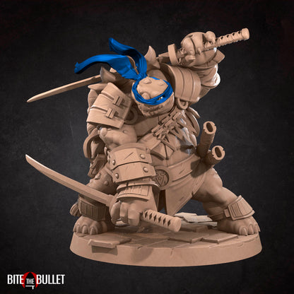 Ninja Tortles Pack