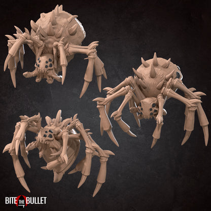 Spiders Pack