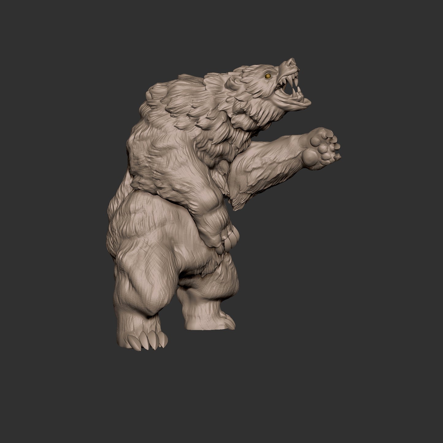 Bear