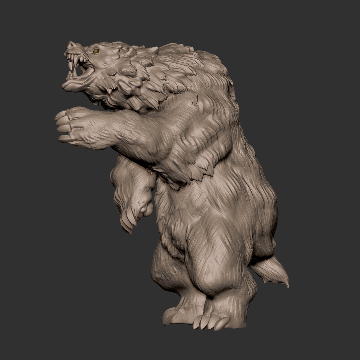 Bear