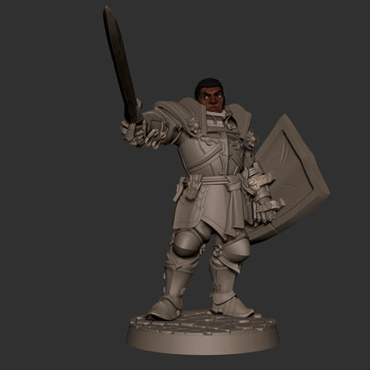 Hero Paladin
