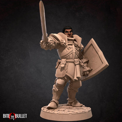 Hero Paladin