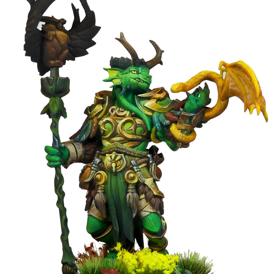 (PDF) Dragonborn Druid