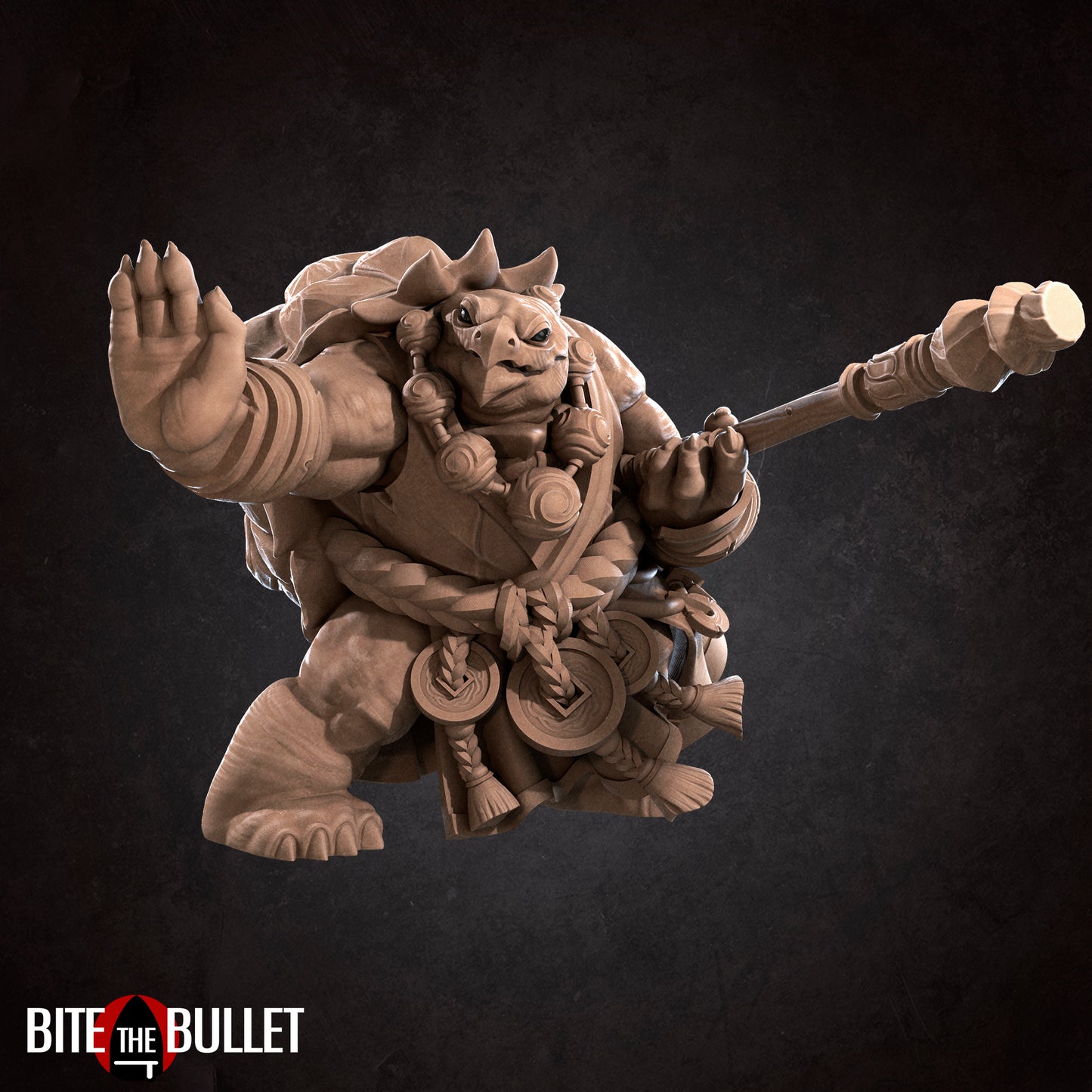 Tortle Monk
