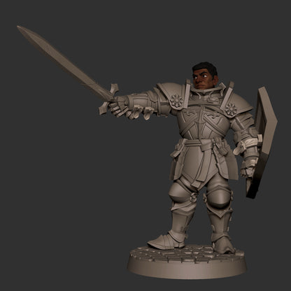 Hero Paladin