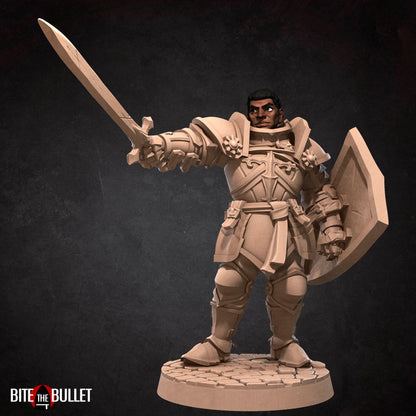 Hero Paladin