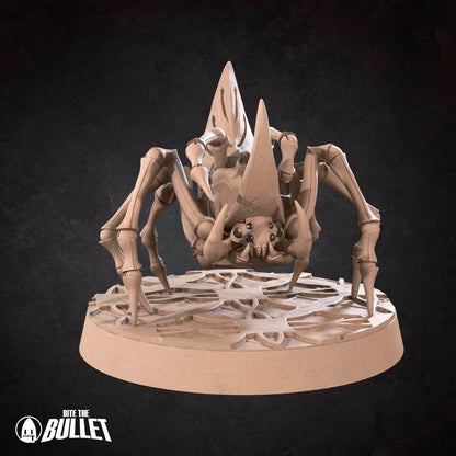 Spider Puppets