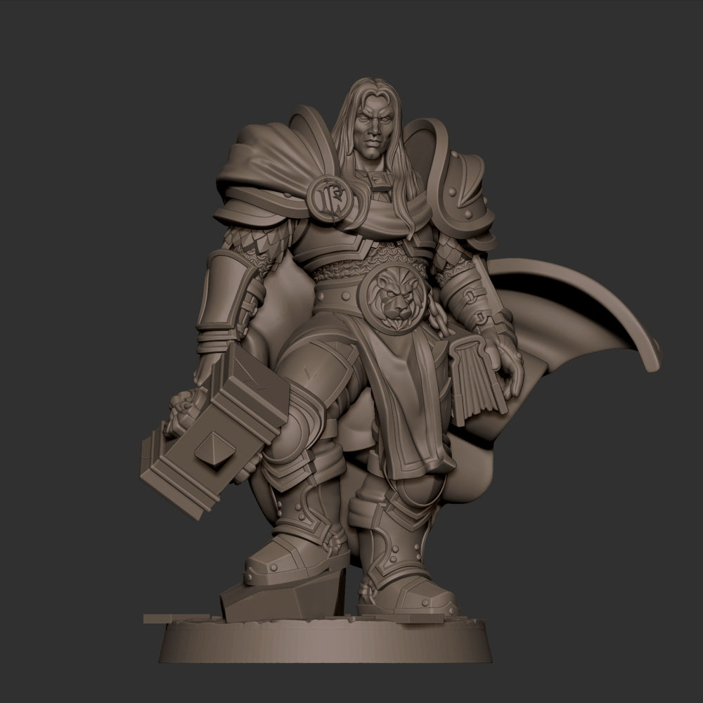 Human Prince Paladin