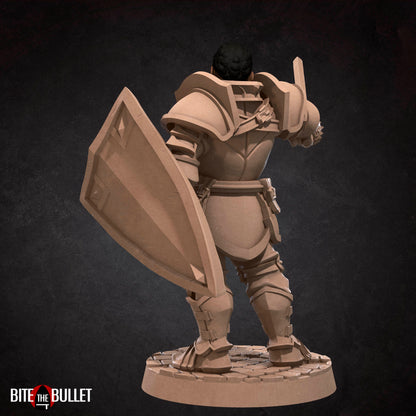 Hero Paladin