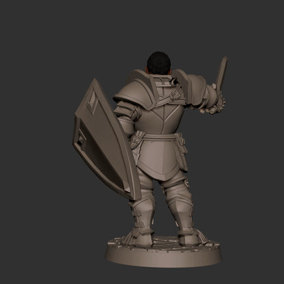 Hero Paladin