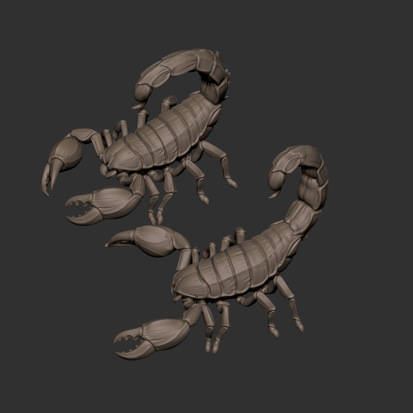 Giant Scorpions