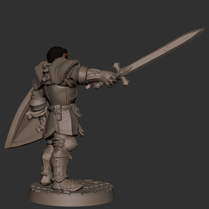 Hero Paladin