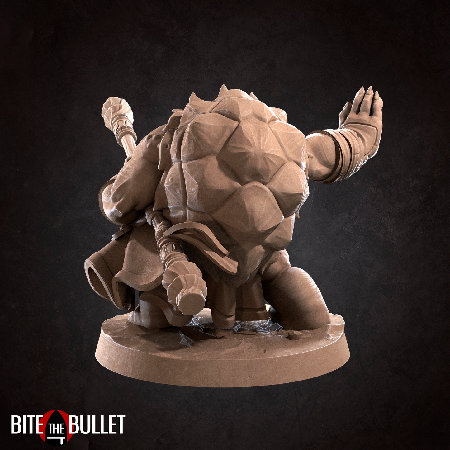 Tortle Monk