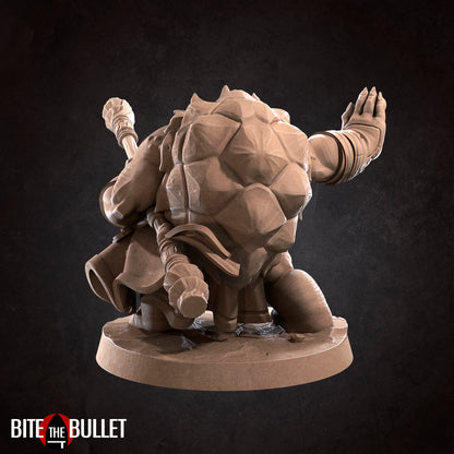 Tortle Monk