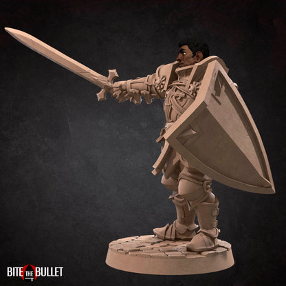 Hero Paladin