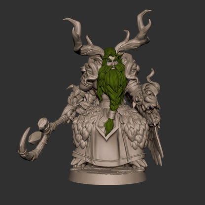 Druid Night Elf