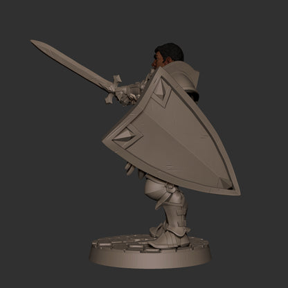 Hero Paladin