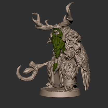 Druid Night Elf