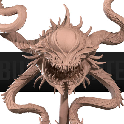 Spectator Aberration