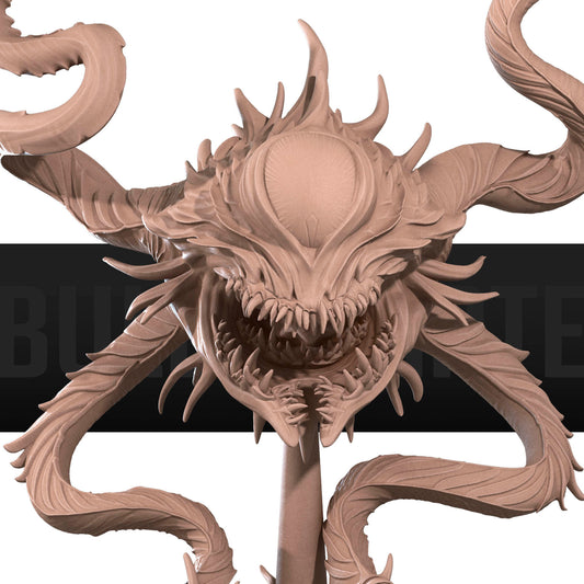 Spectator Aberration