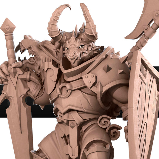 Dragonborn Fighter