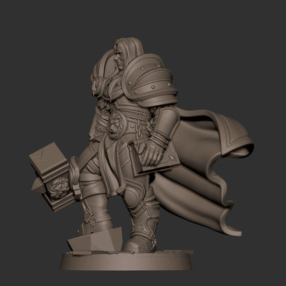 Human Prince Paladin