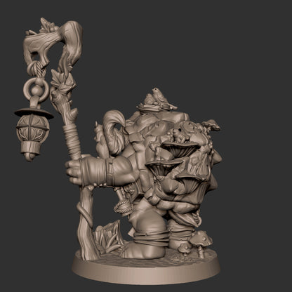 Tortle Druid