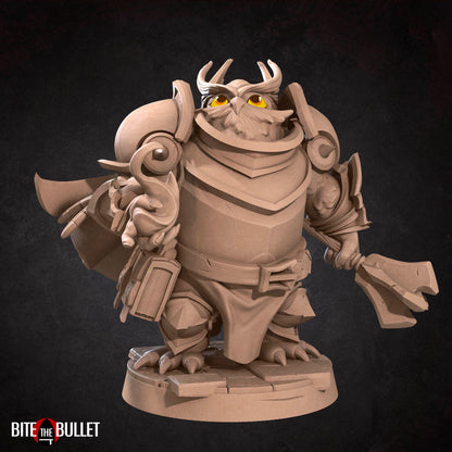 Owlfolk Cleric