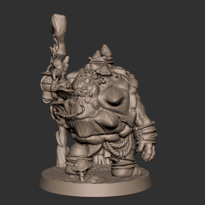Tortle Druid