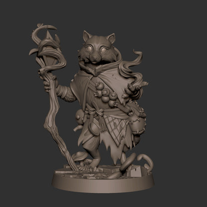 Raccoonfolk Druid