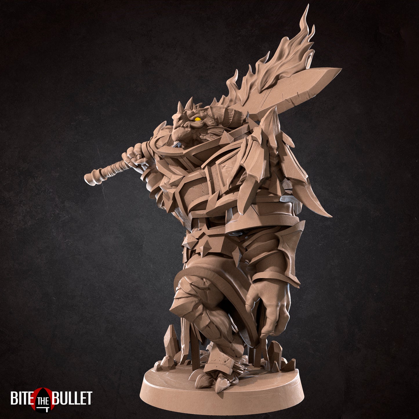 Dragonborn Paladin